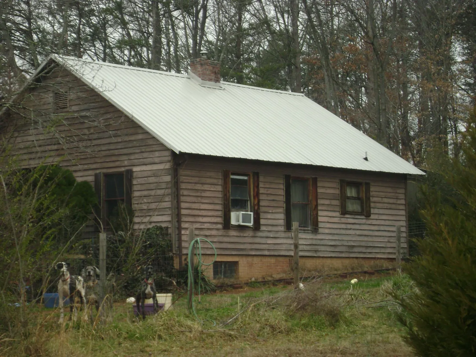 White metal roof on an old wood sided farmhouse, from a Metal Roof Installation job in Gilbert